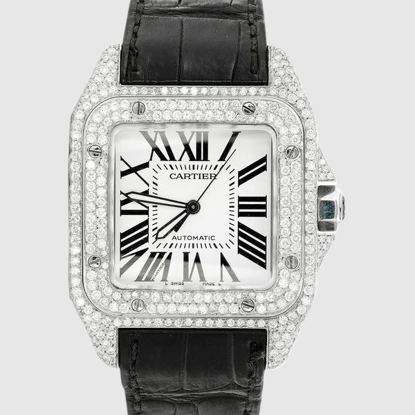 DEAL OF THE DAY - Cartier Santos
