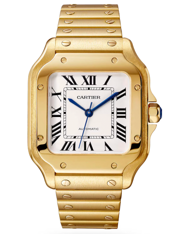 DEAL OF THE DAY - Cartier Santos