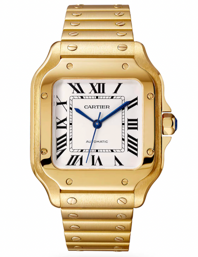 DEAL OF THE DAY - Cartier Santos